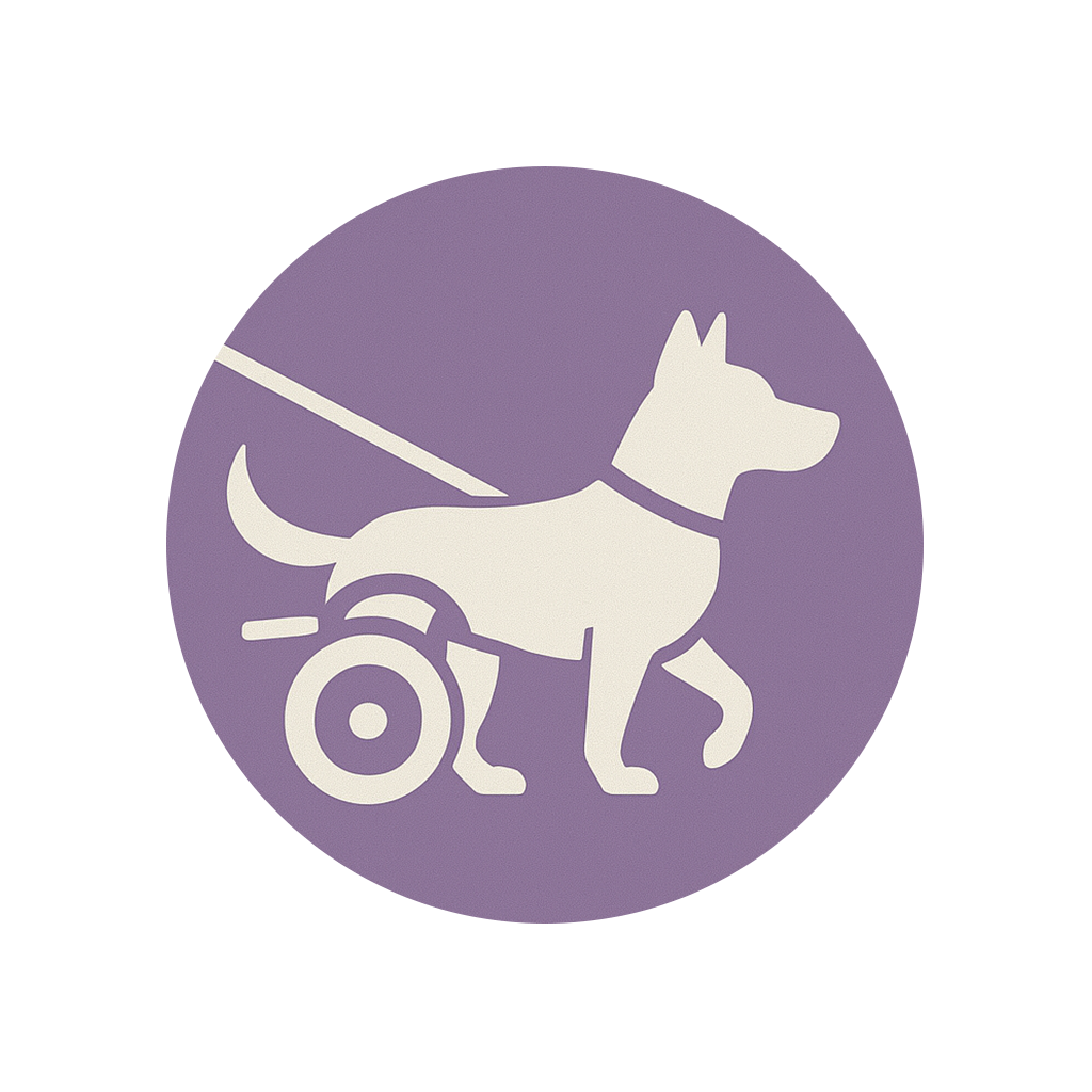 Plimbare pentru câini cu dizabilități sau vârstnici