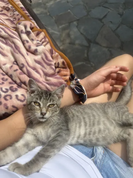 Podina Ana — fotografia 6