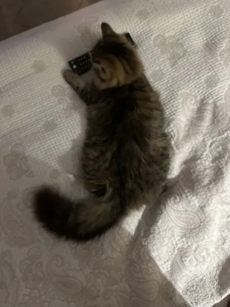 Podina Ana — fotografia 7