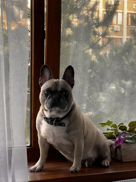 Katerina  — fotografia 3