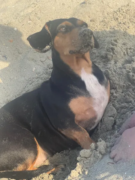 Simona — fotografia 4