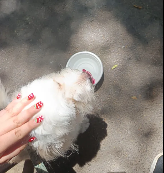Eva — fotografia 1