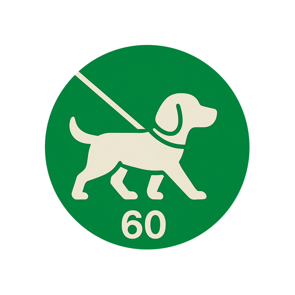 Plimbare standard – 60 min