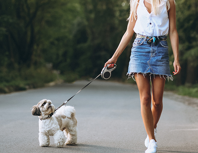 Plimbare standard – 60 min