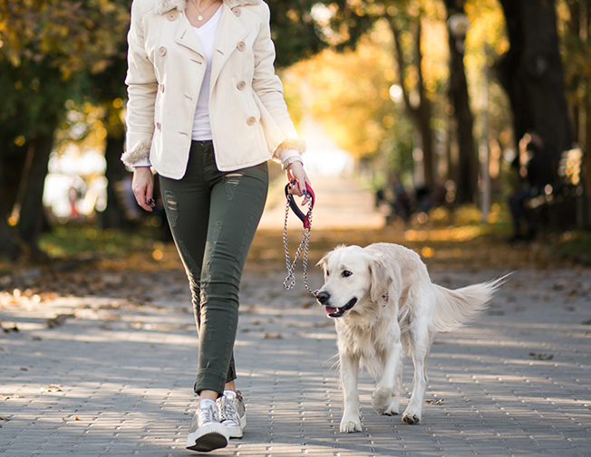 Plimbare lungă – 90+ min