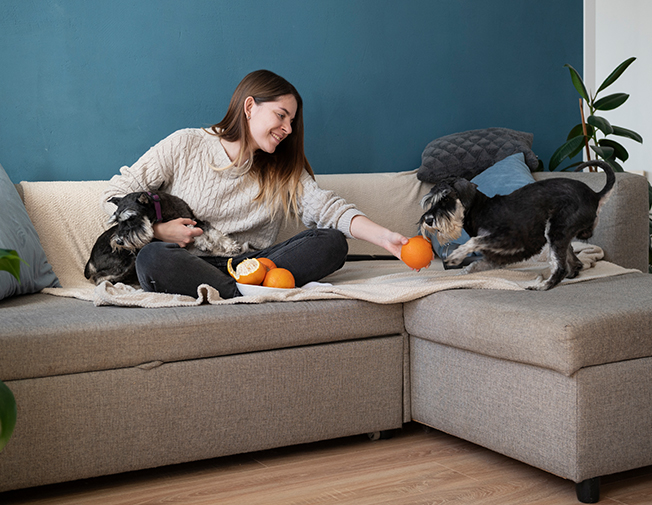 Vizită extinsă 60min ( hrană,joacă,curățenie )