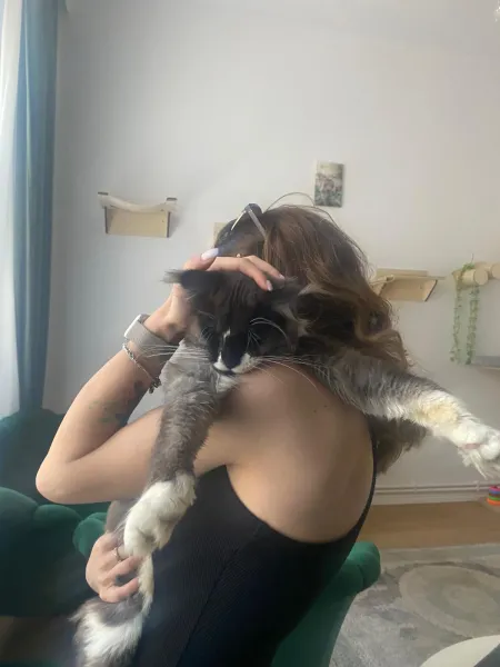 Raluca Sereteanu — fotografia 3
