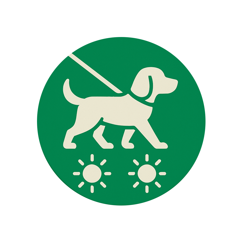 Plimbări multiple / zi (ex. dimineața + seara)