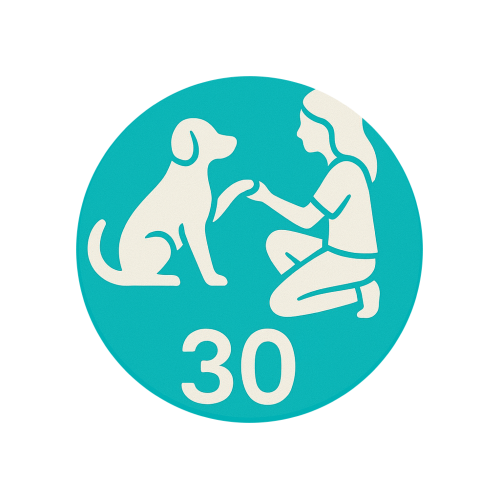 Vizită scurtă pentru verificare și joacă (30min)