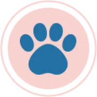 Adriana Nemet