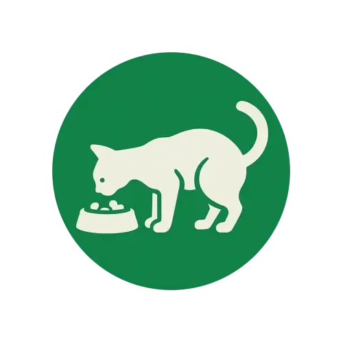 Hrănire și schimbare apă