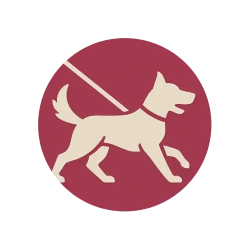 Plimbare pentru câini mari / energici