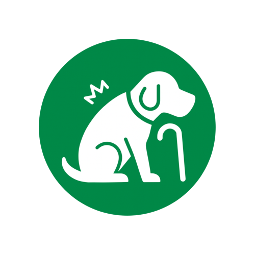 Îngrijire animal cu nevoi speciale (vârstnic, bolnav, anxios etc.)