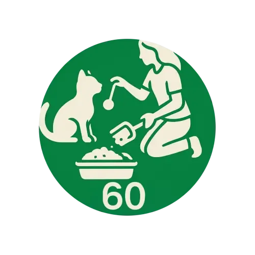 Vizită extinsă 60min ( hrană,joacă,curățenie )