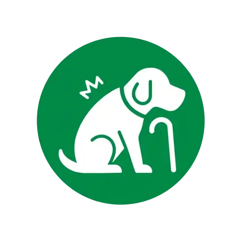 Îngrijire animal cu nevoi speciale (vârstnic, bolnav, anxios etc.)