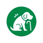 Îngrijire animal cu nevoi speciale (vârstnic, bolnav, anxios etc.)
