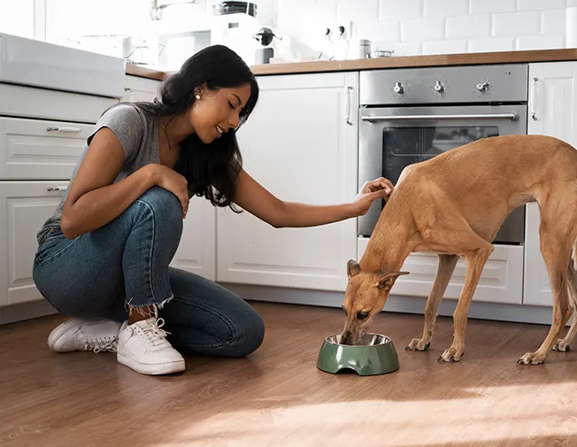 Hrănire și schimbare apă