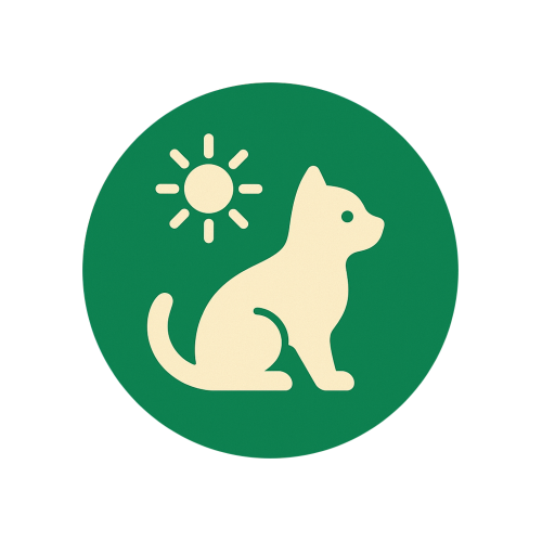 Cazare de zi (pet daycare)