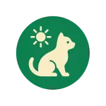 Cazare de zi (pet daycare)
