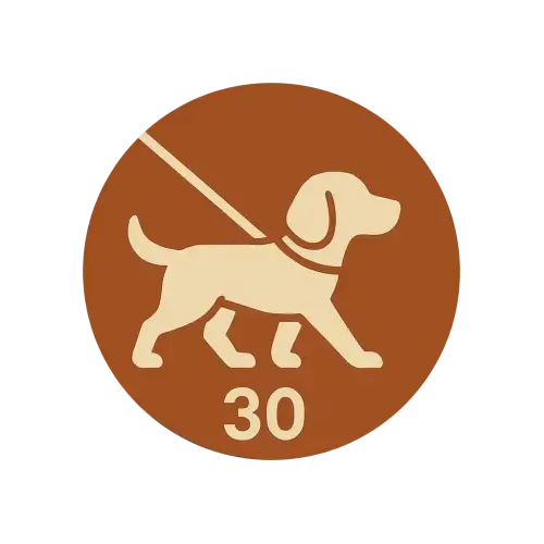 Plimbare scurtă – 30 min