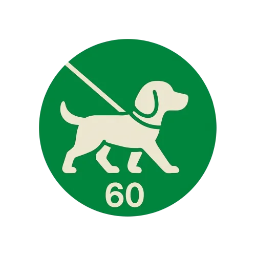 Plimbare standard – 60 min