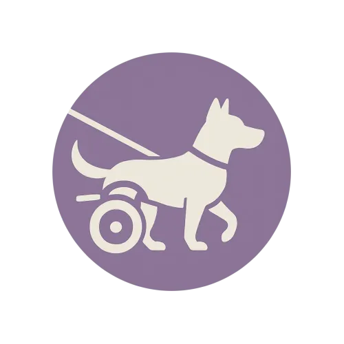 Plimbare pentru câini cu dizabilități sau vârstnici