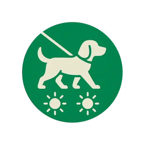 Plimbări multiple / zi (ex. dimineața + seara)