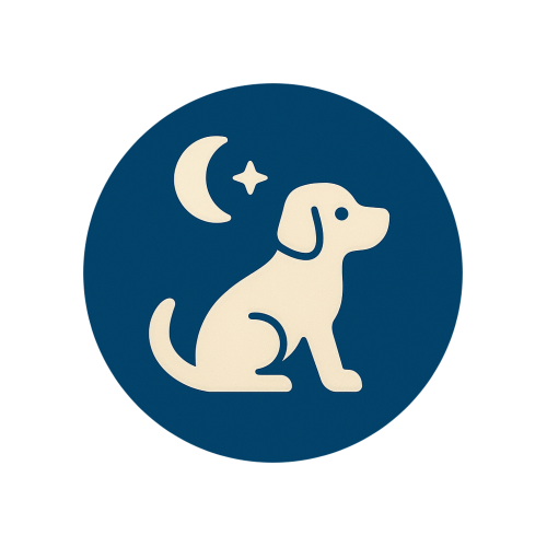 Cazare cu o noapte (24h)