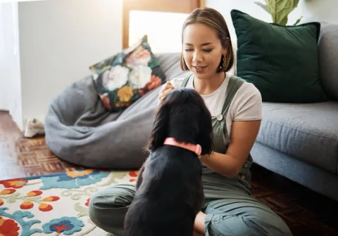Ce aptitudini trebuie să aibă un pet sitter?