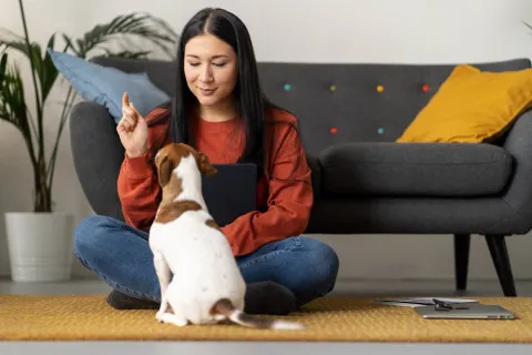 Cum se simte patrupedul tău în lipsa stăpânului? | Ghid complet Paw Helper